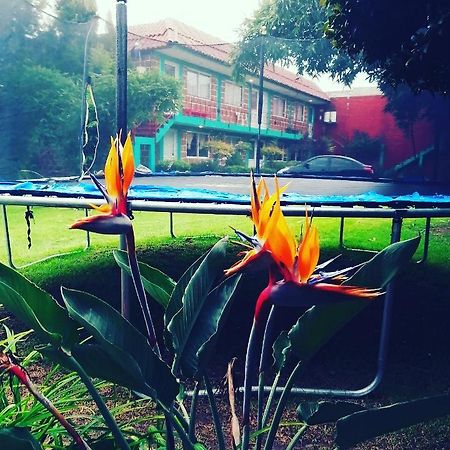 Hotel Las Fumarolas De Don Goyo Cholula Dış mekan fotoğraf